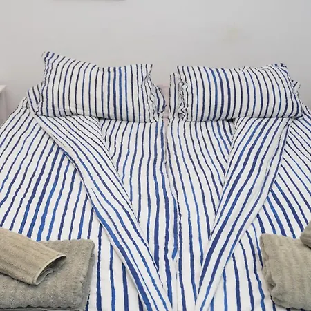 El Bajio 205 *