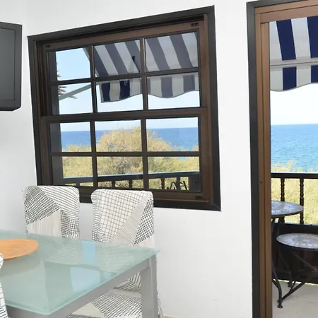 El Bajio Nr 6 公寓